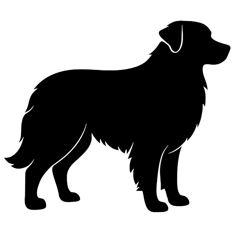 Australian Shepherd – Enkeltmotiv Sticker