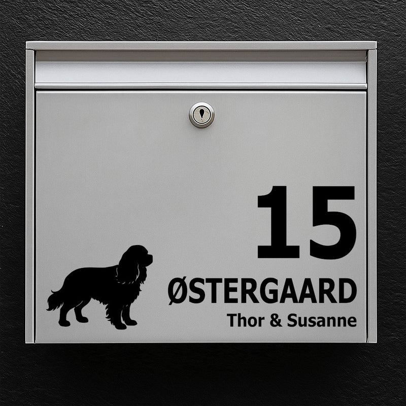 Navneskilt til postkasse – hundemotiv: Cavalier King Charles – tilpas navn og husnr – robust udendørs klistermærke
