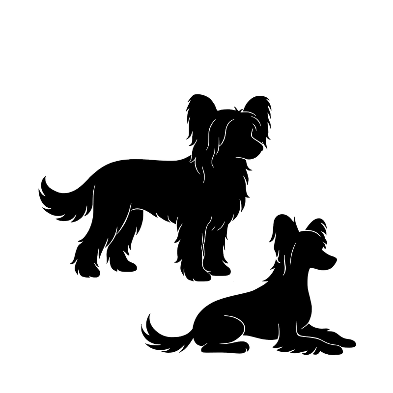 Chinese crested – Enkeltmotiv Sticker