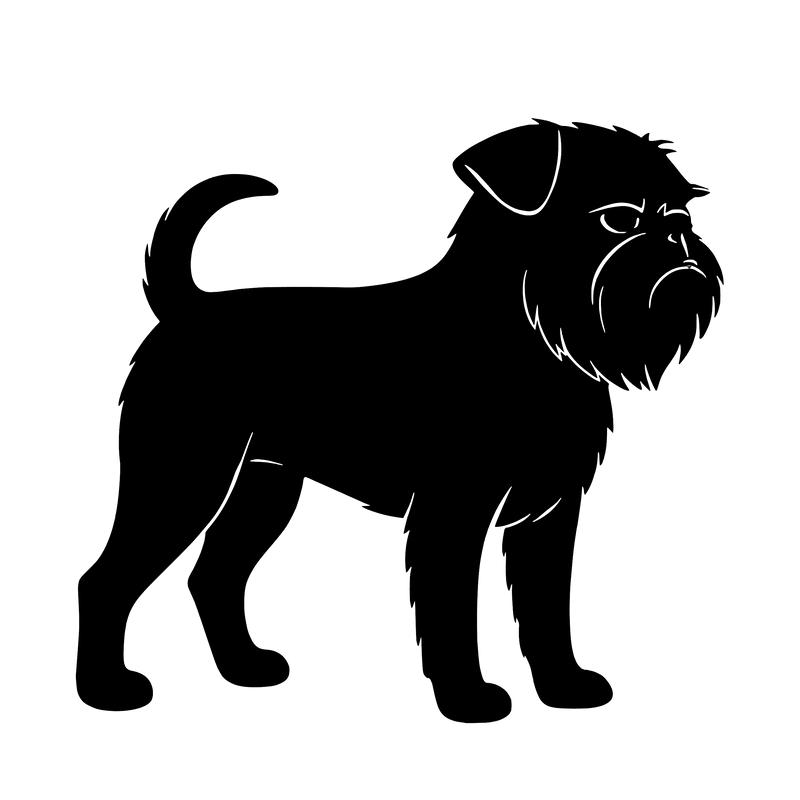 Griffon brussels – Enkeltmotiv Sticker