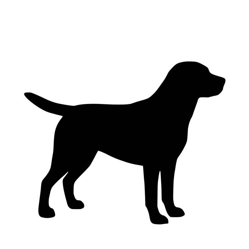 Labrador – Enkeltmotiv Sticker