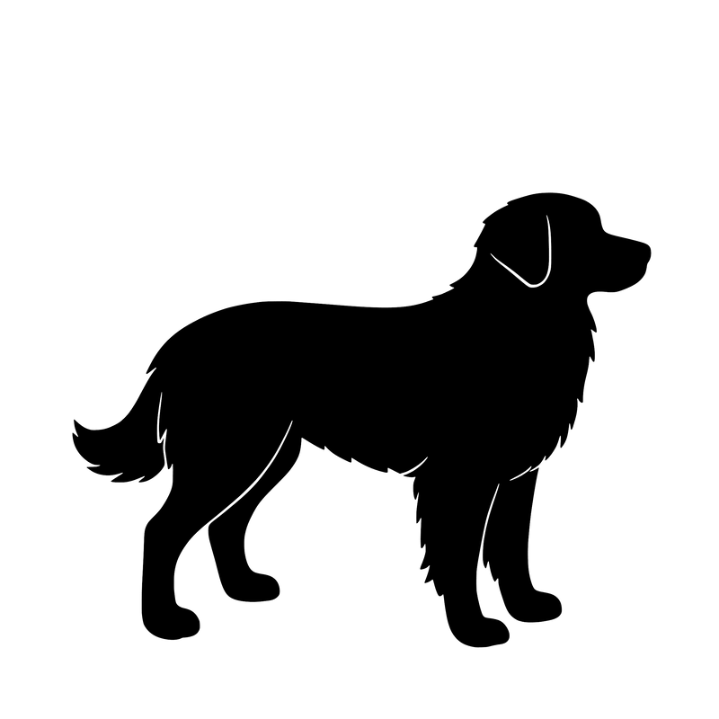 Nova Scotia Duck Tolling Retriever - Enkeltmotiv Sticker