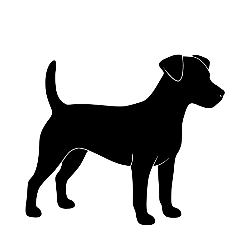 Russel Terrier – Enkeltmotiv Sticker