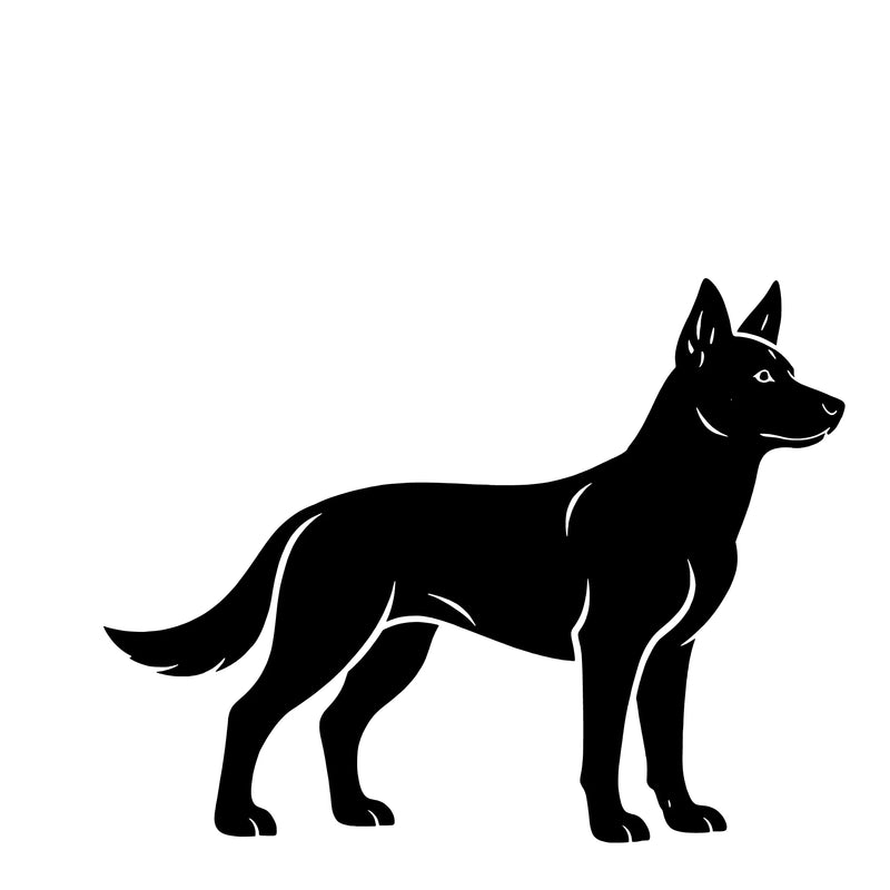 Australian Kelpie – Enkeltmotiv Sticker