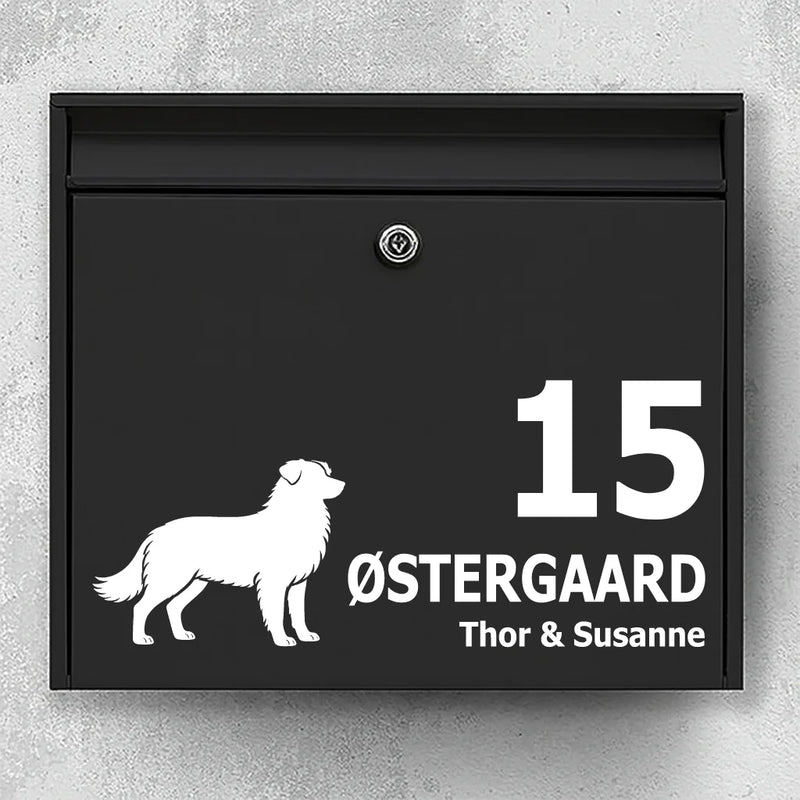 Postkassesticker med Australian Shepherd