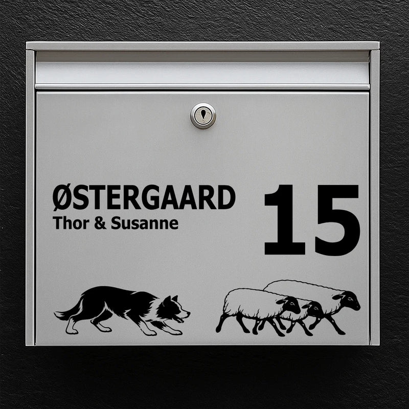 Postkassesticker med border collie med får