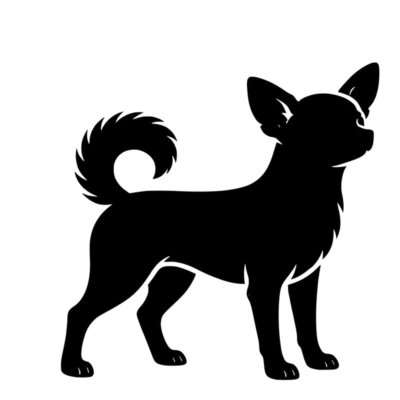 Chihuahua – Enkeltmotiv Sticker