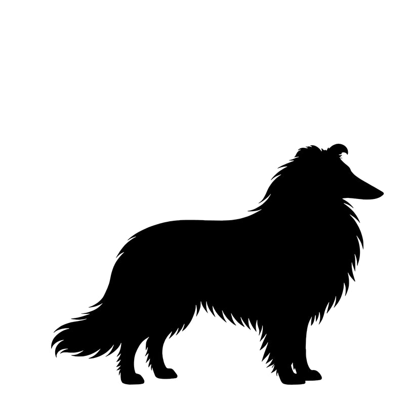 Langhåret Collie – Enkeltmotiv Sticker