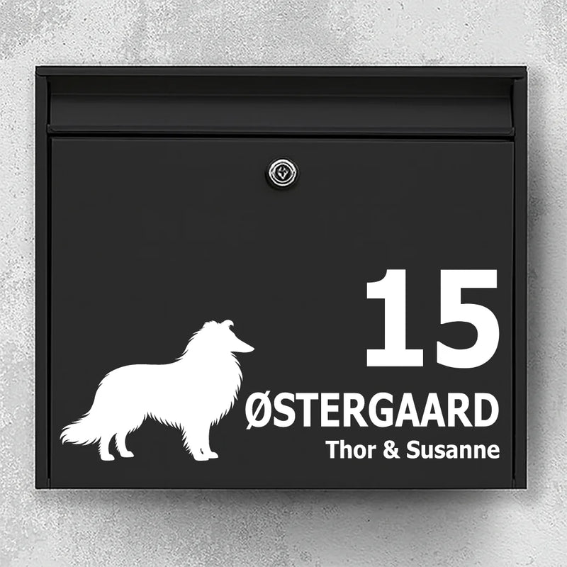 Postkassesticker med langhåret collie
