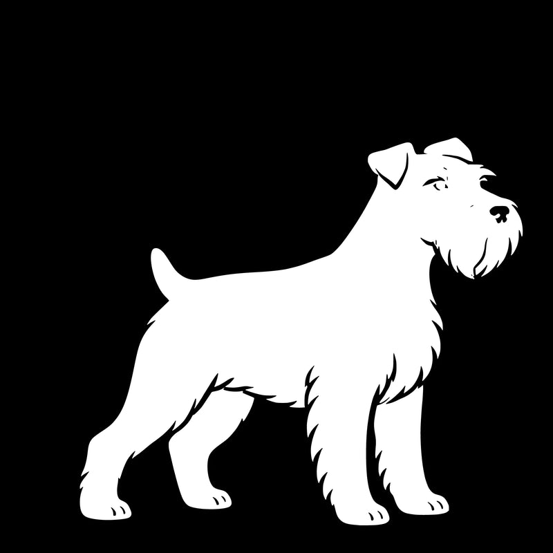 Dværgschnauzer – Enkeltmotiv Sticker