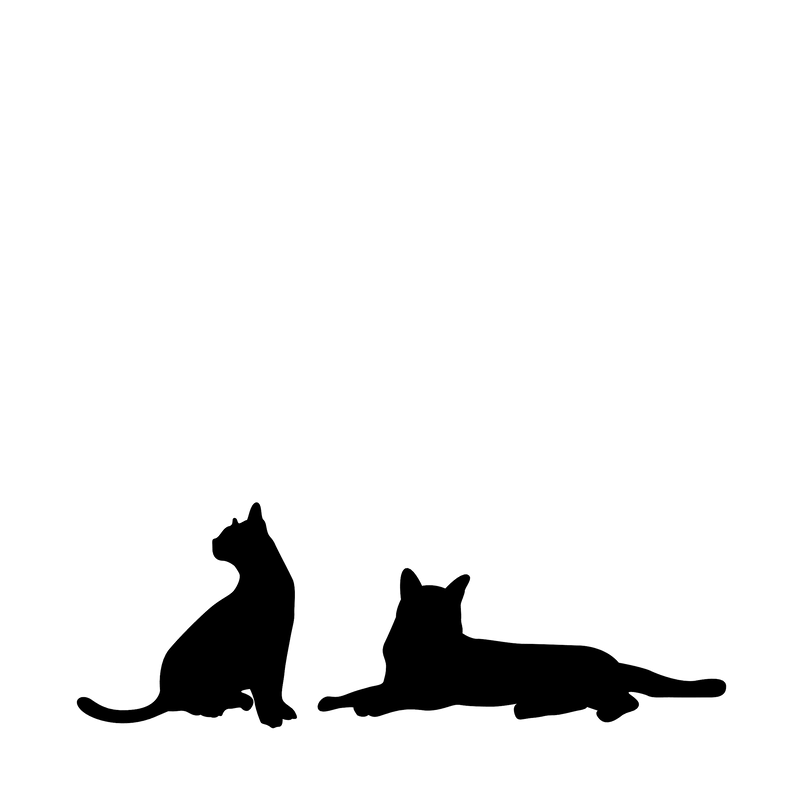 Katt – Enkeltmotiv Sticker (To Katter)