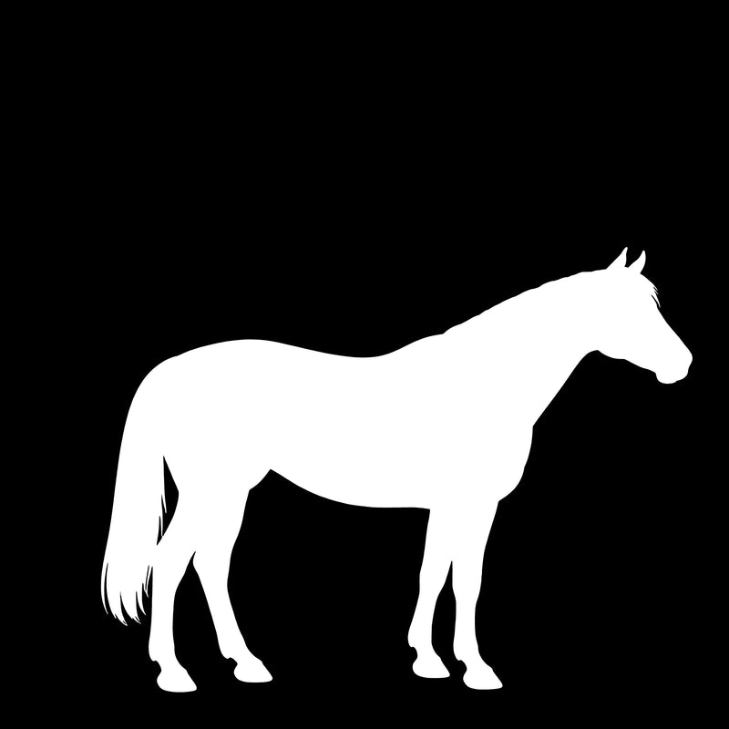 Pinto – Enkeltmotiv Sticker