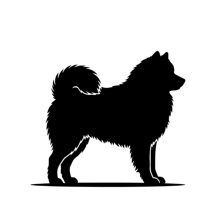 Samojed - enkeltmotiv sticker