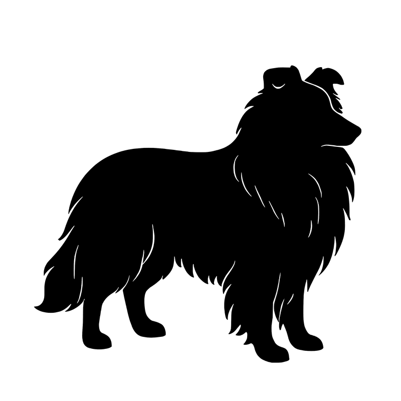 Shetland sheepdog – Enkeltmotiv Sticker