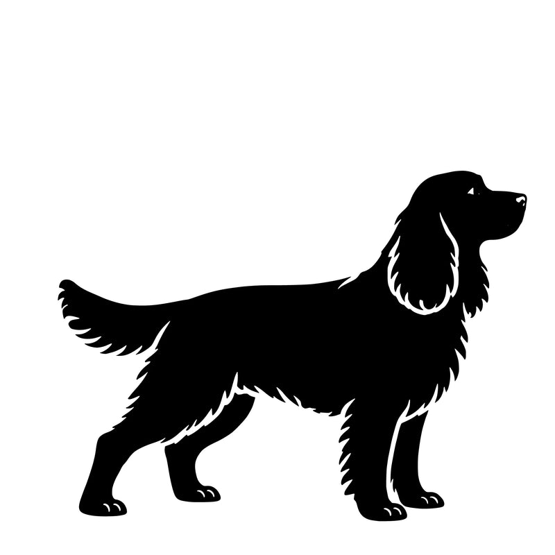 Springer spaniel - enkeltmotiv sticker