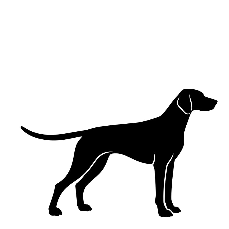 Tysk korthåret hønsehund - enkeltmotiv sticker