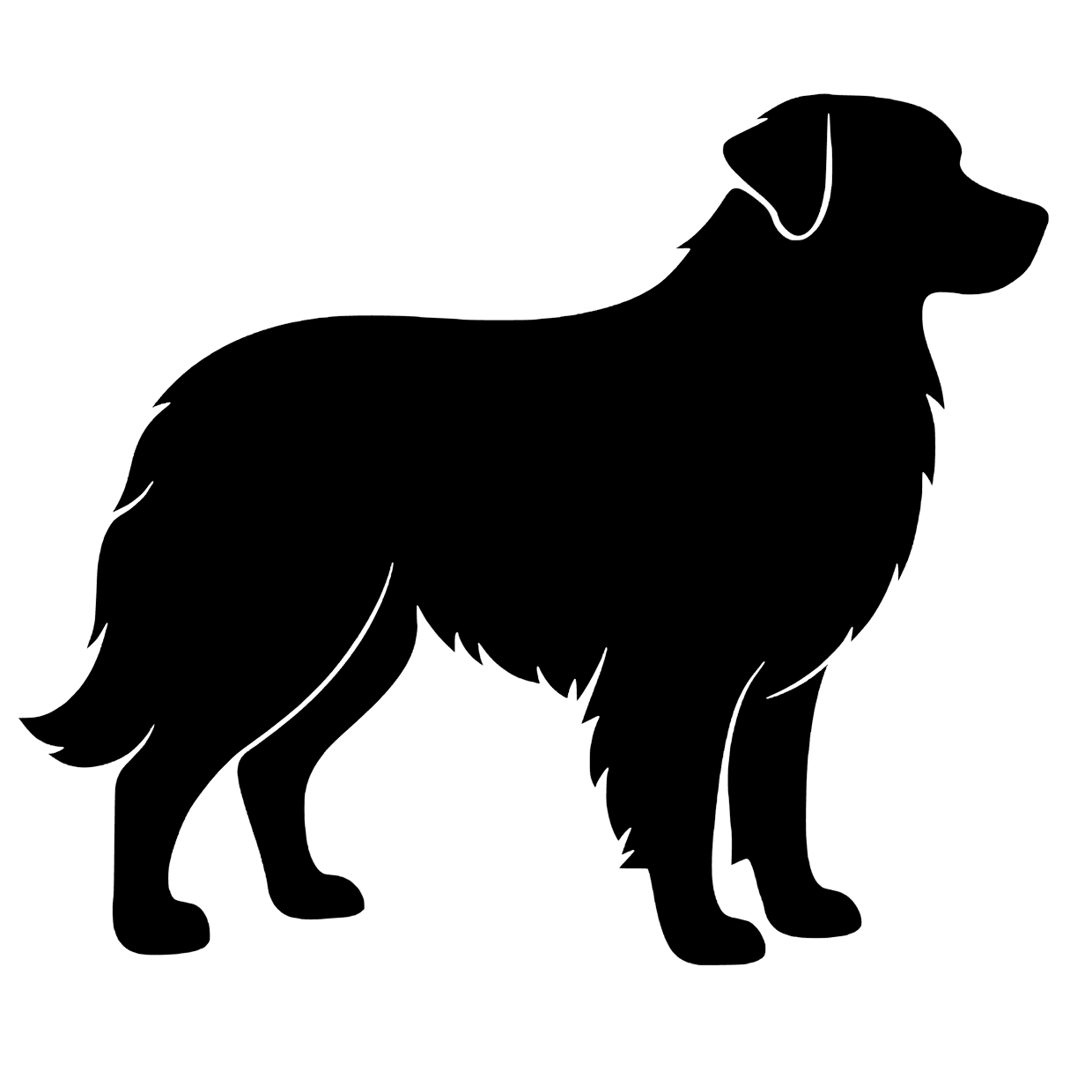 Australian Shepherd – Enkeltmotiv Sticker