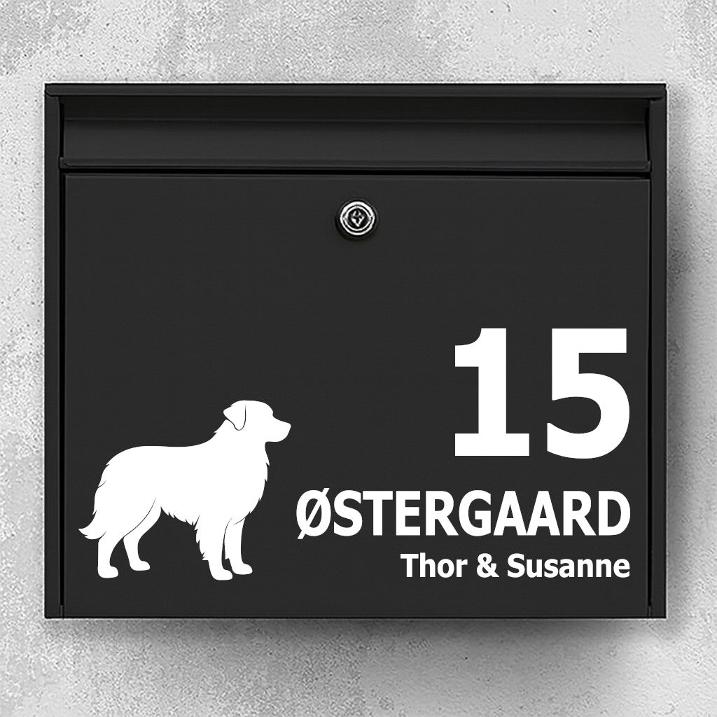 Postkasse sticker – Australian Shepherd hund – custom navn + husnummer – nem montering