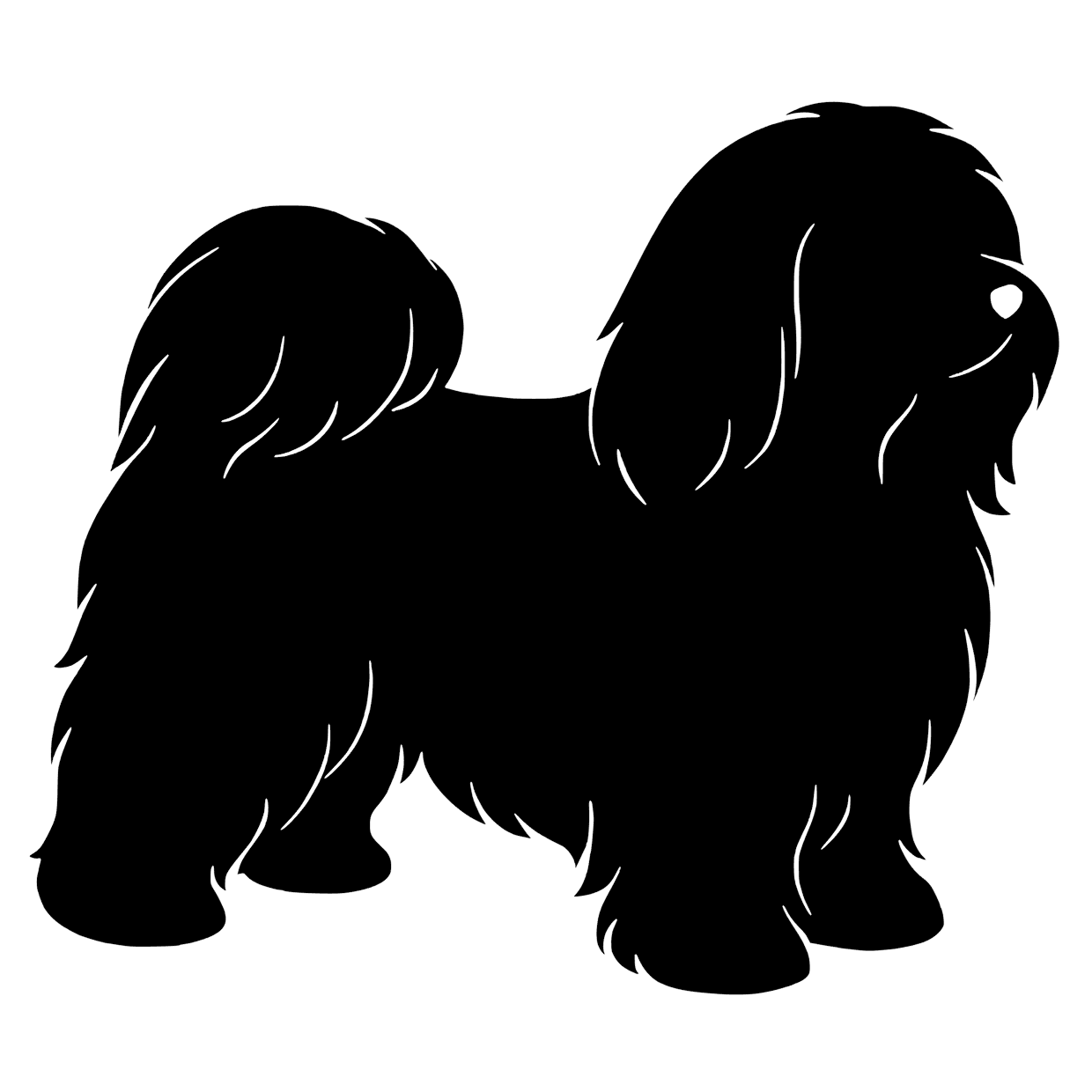 Bichon havanaise – Enkeltmotiv Sticker
