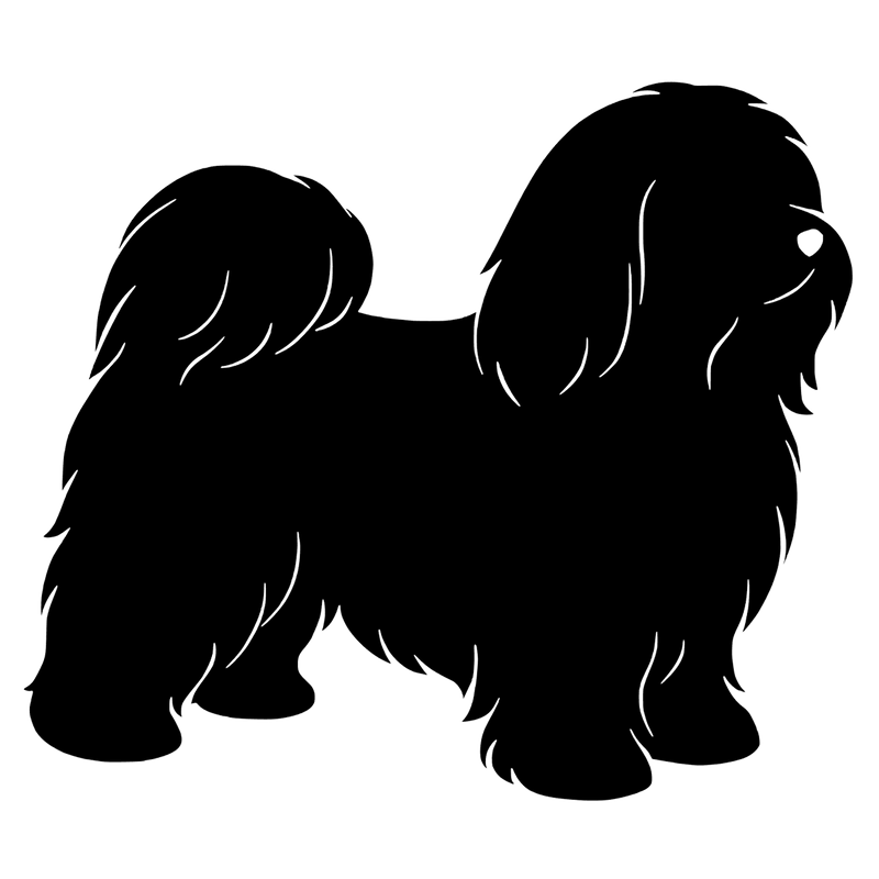 Bichon havanaise – Enkeltmotiv Sticker