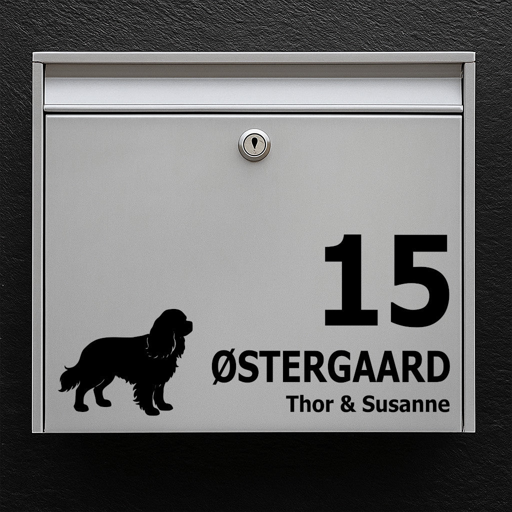 Postkassesticker med Cavalier King Charles Spaniel