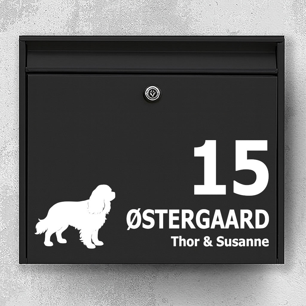Postkassesticker med Cavalier King Charles Spaniel