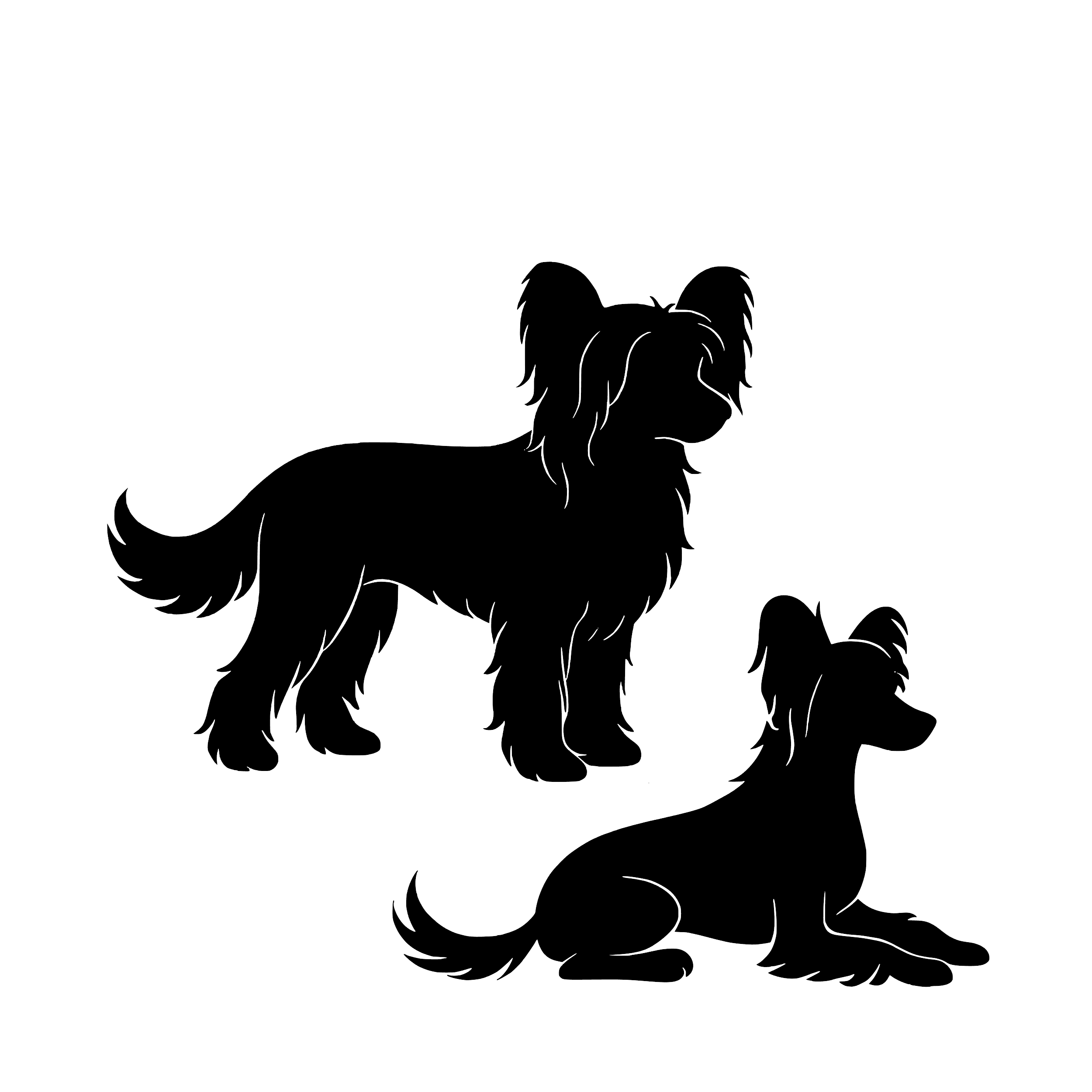 Chinese crested – Enkeltmotiv Sticker