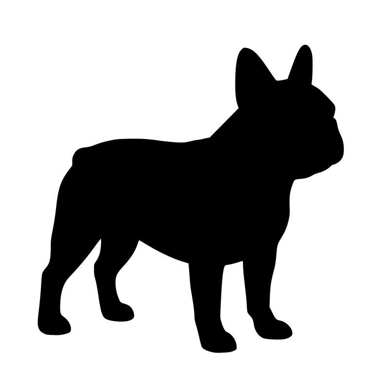 Fransk Bulldog – Enkeltmotiv Sticker