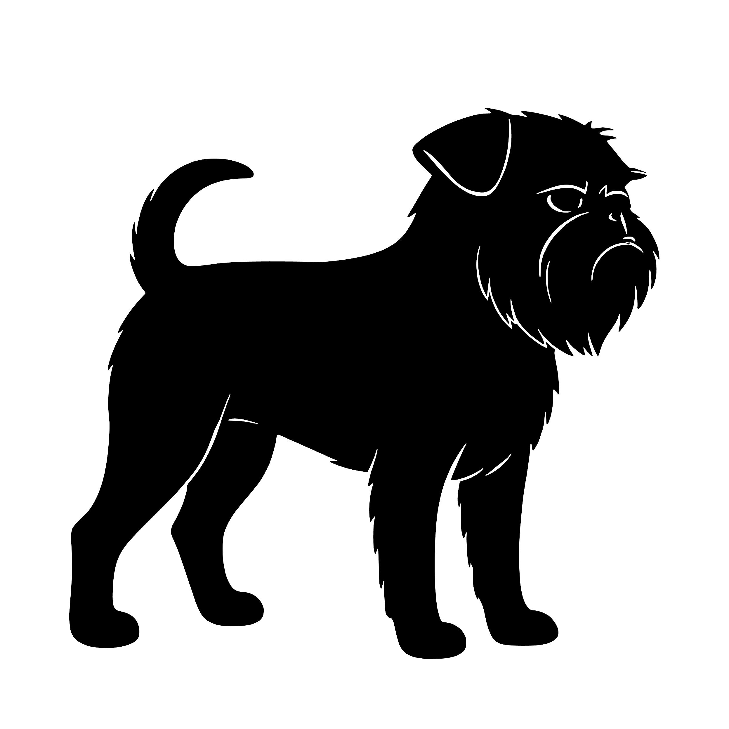 Griffon brussels – Enkeltmotiv Sticker