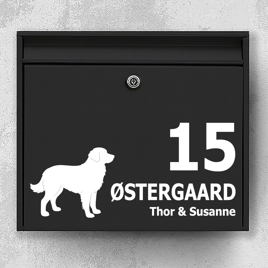 Postkassesticker med Nova Scotia Duck Tolling Retriever