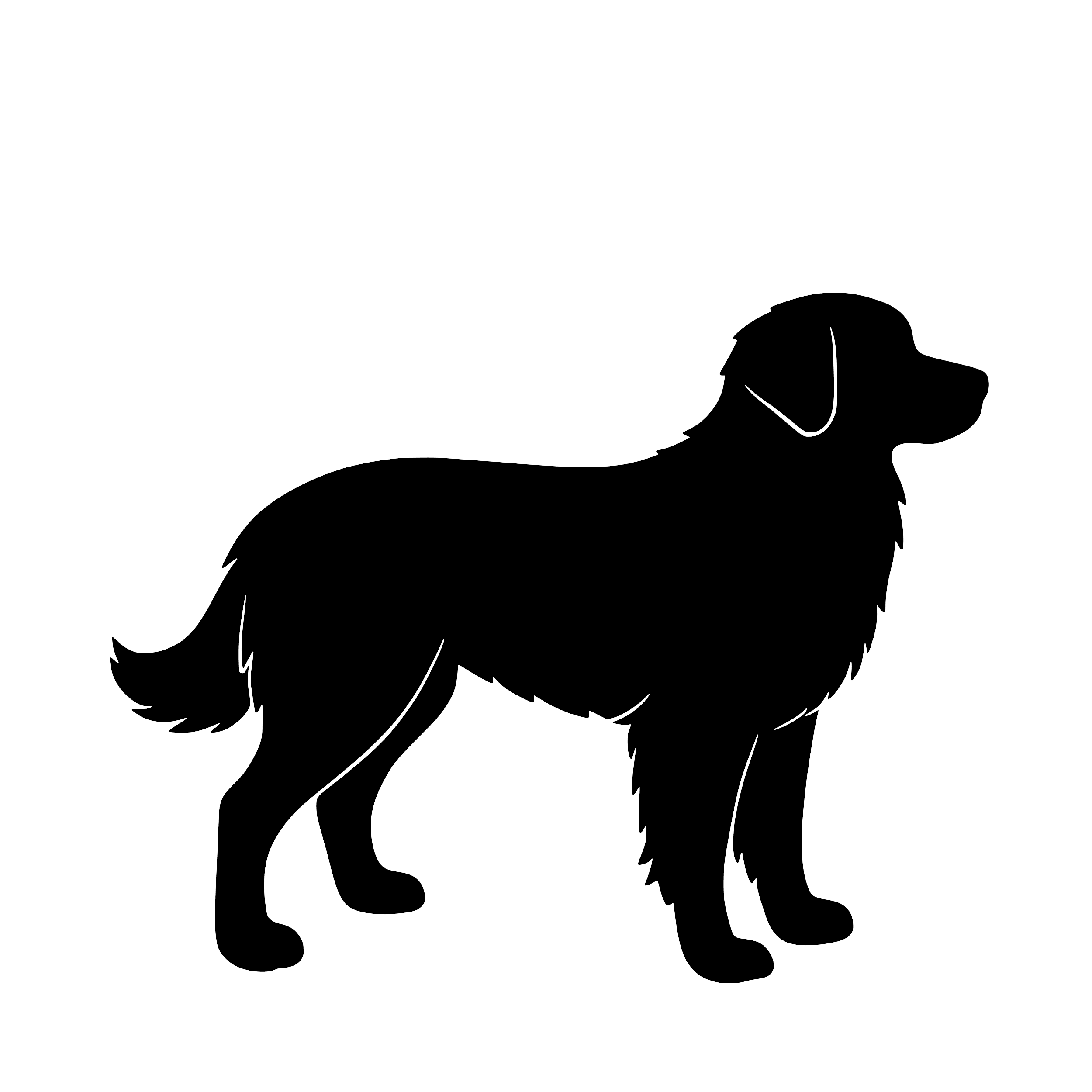 Nova Scotia Duck Tolling Retriever - Enkeltmotiv Sticker