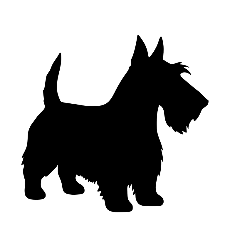 Scottish Terrier – Enkeltmotiv Sticker