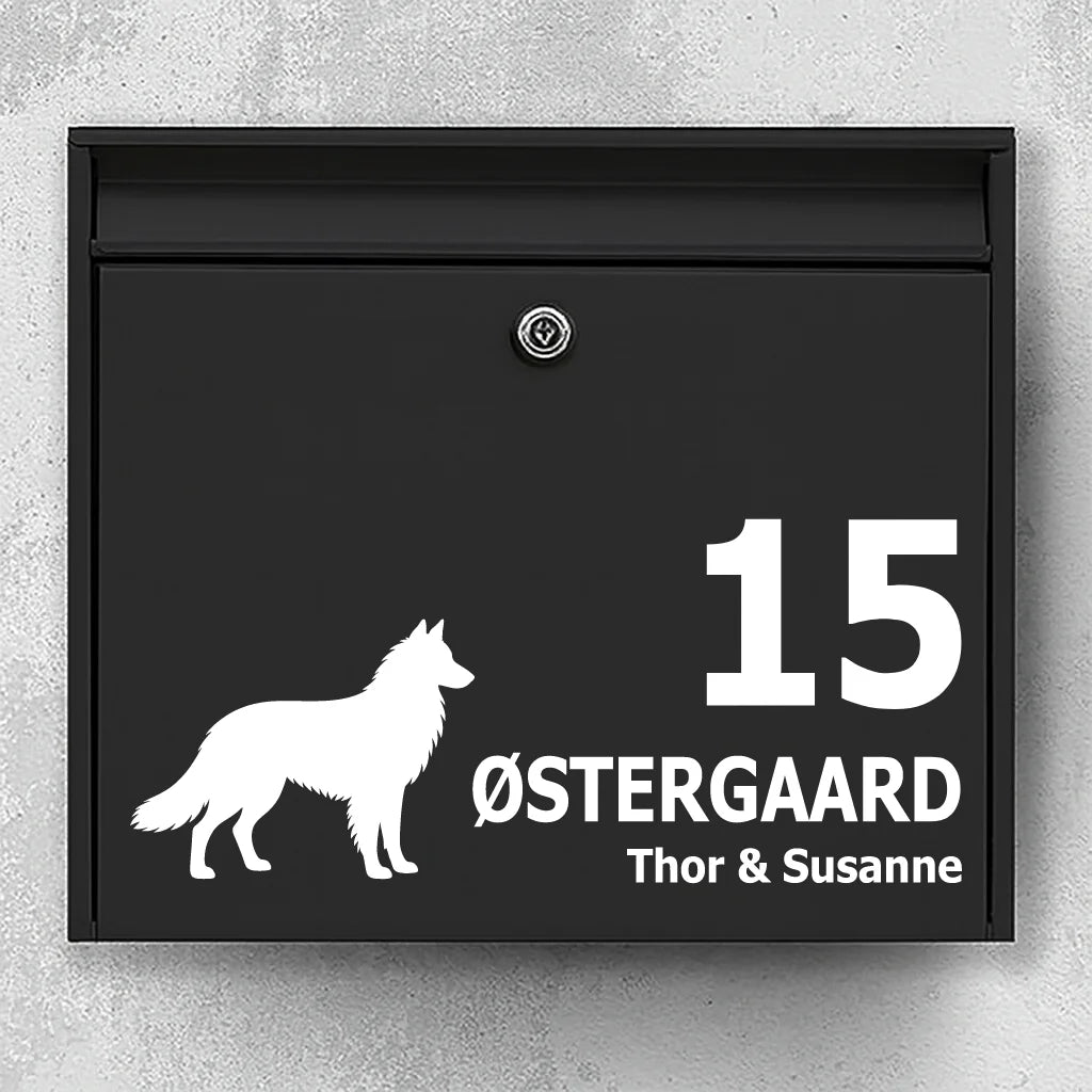Postkassesticker med Belgisk hyrdehund (Tervueren)