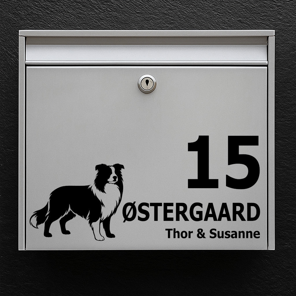 Postkassesticker med border collie
