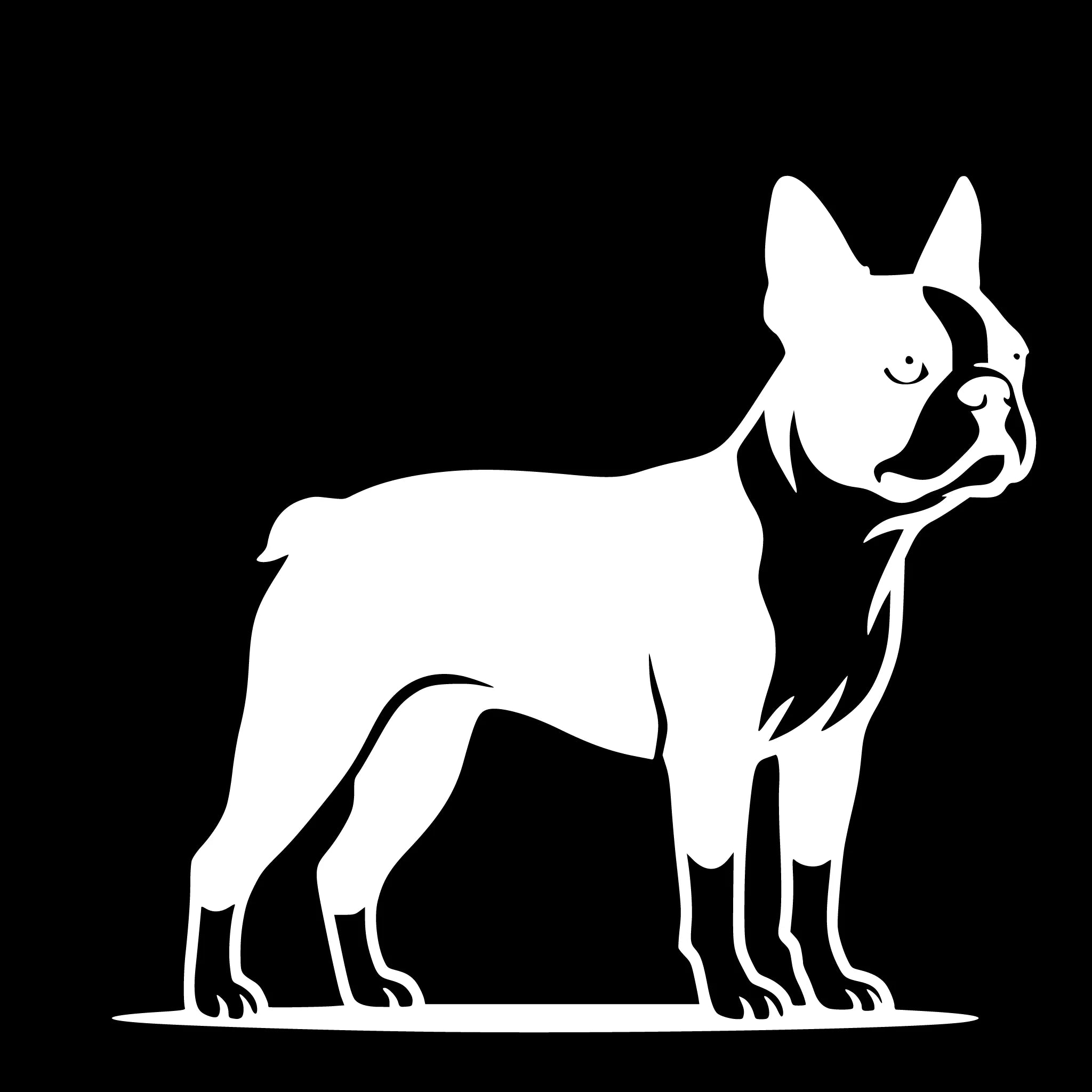 Boston Terrier - enkeltmotiv sticker