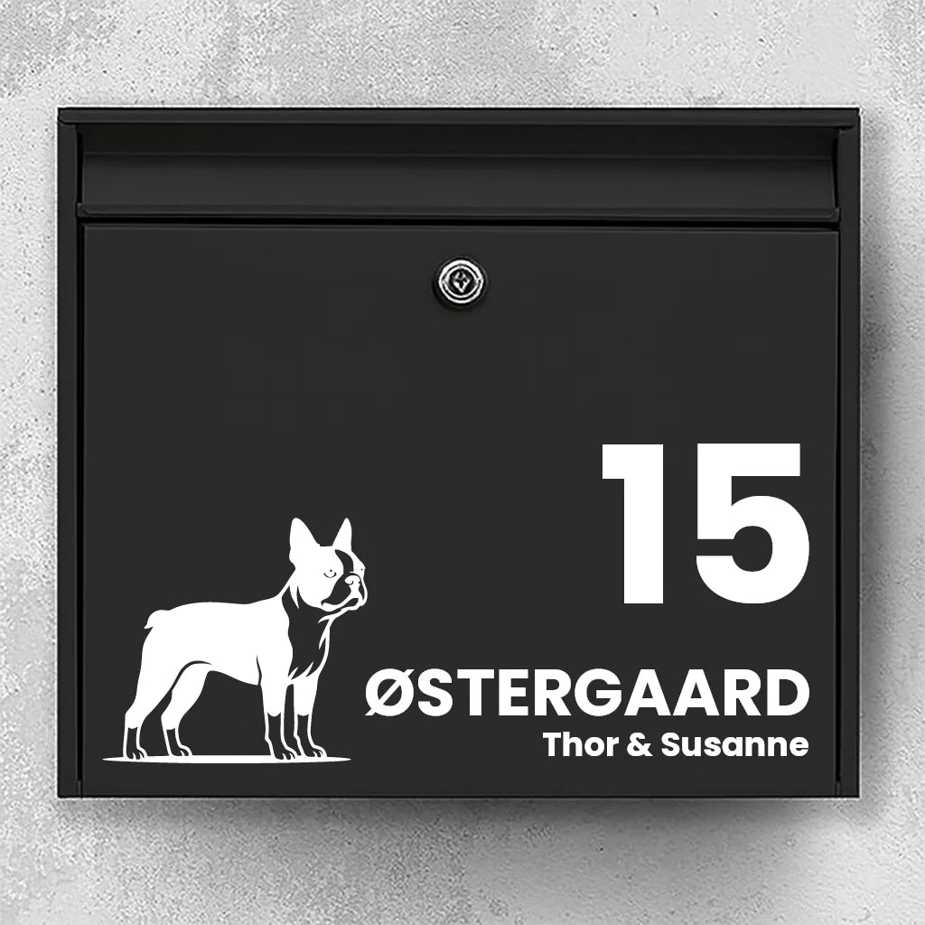 Postkassesticker med Boston Terrier