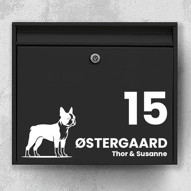 Postkassesticker med Boston Terrier