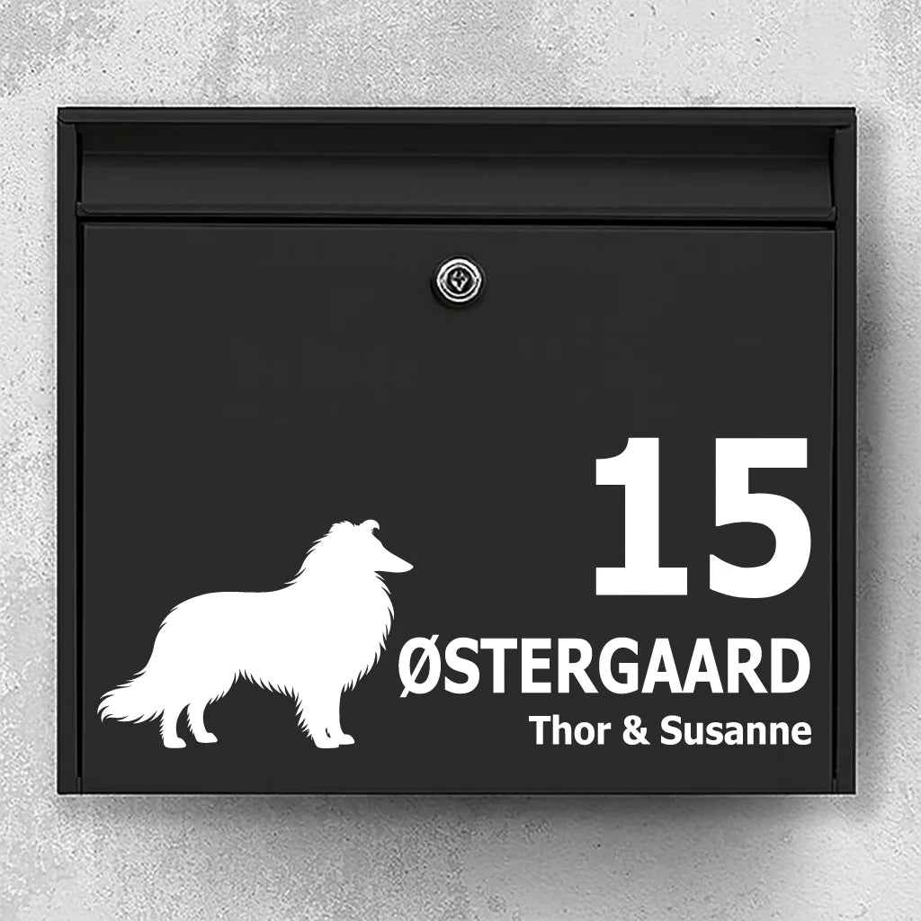 Postkassesticker med langhåret collie