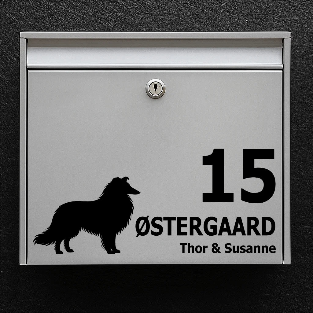 Postkassesticker med langhåret collie