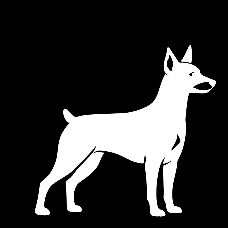 Dværgpinscher – Enkeltmotiv Sticker