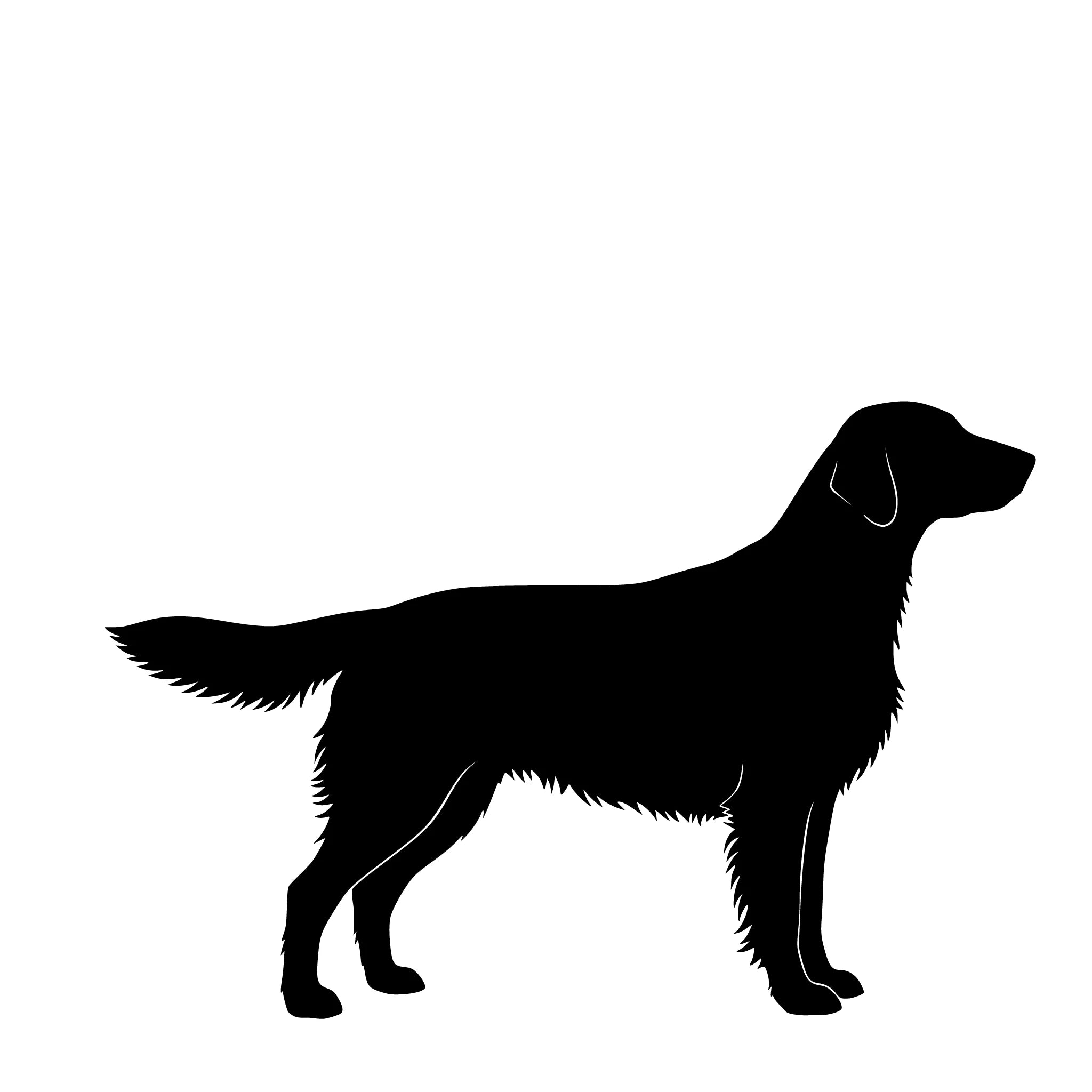 Flat Coated Retriever - enkeltmotiv sticker