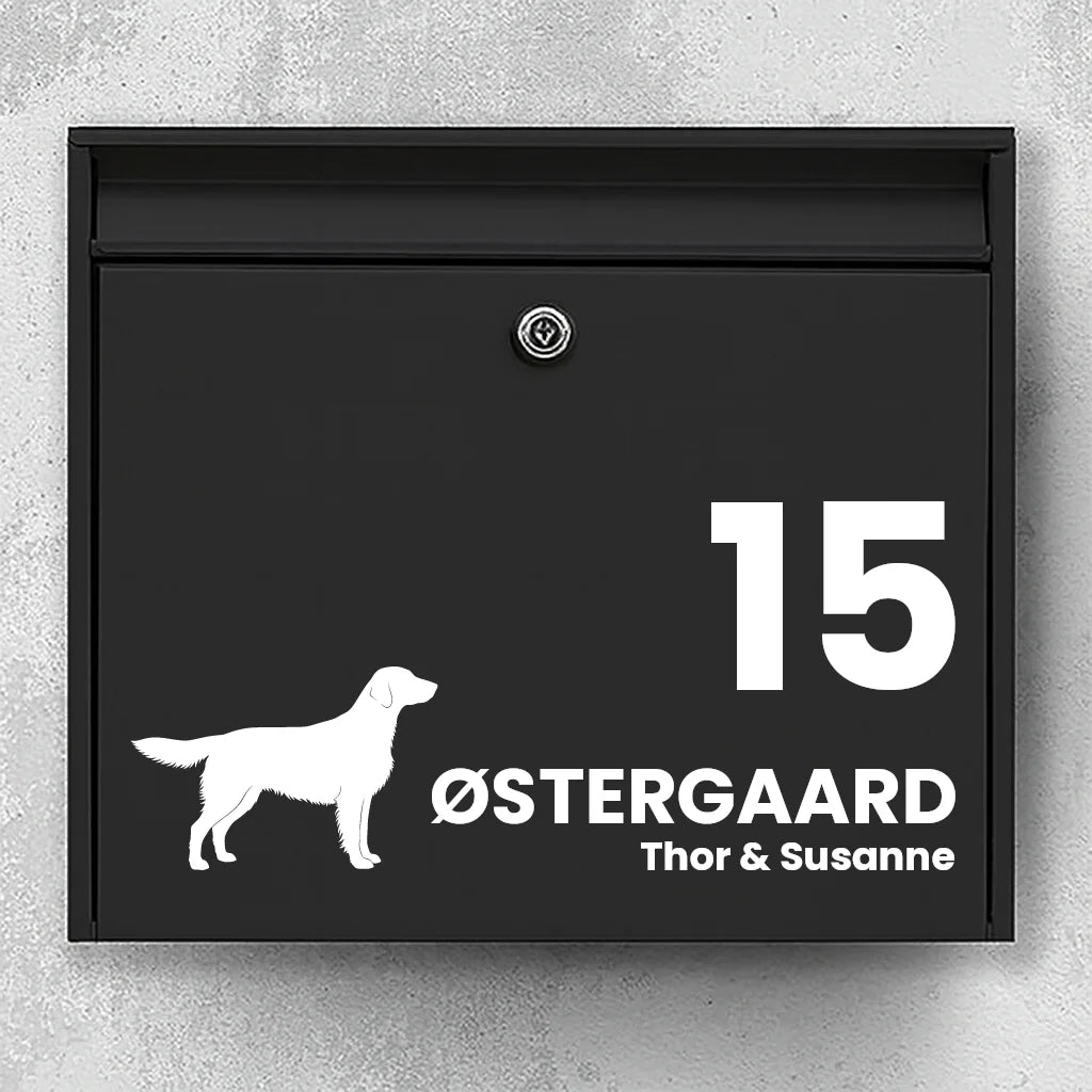 Postkassesticker med Flat Coated Retriever