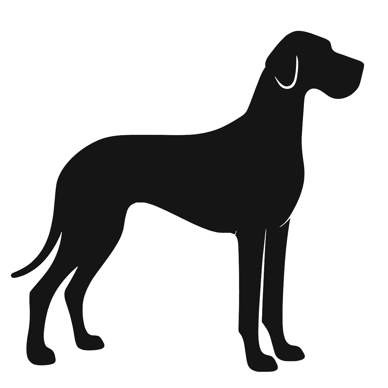 Granddanois – Enkeltmotiv Sticker