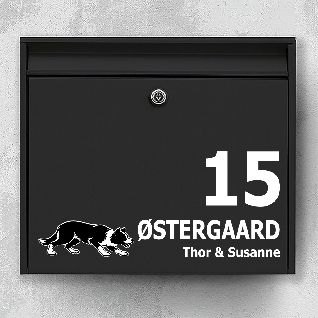 Postkassesticker med korthåret border collie