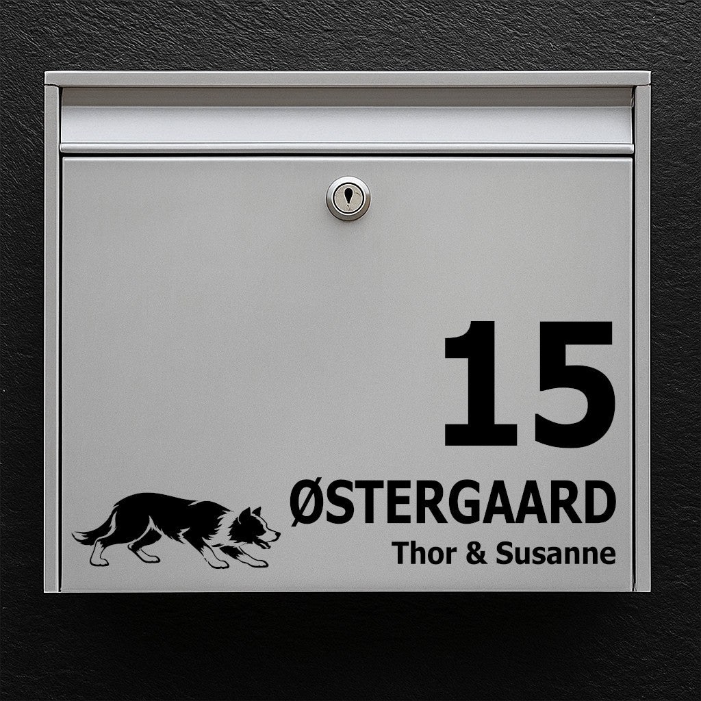 Postkassesticker med korthåret border collie