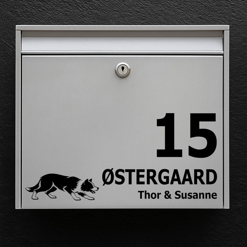 Postkassesticker med korthåret border collie