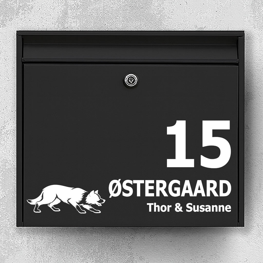 Postkassesticker med korthåret border collie