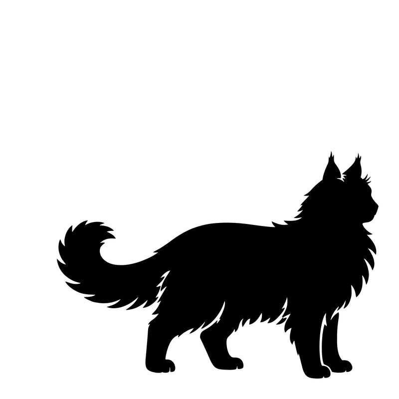Maine coon / Norsk skovkat – Enkeltmotiv Sticker