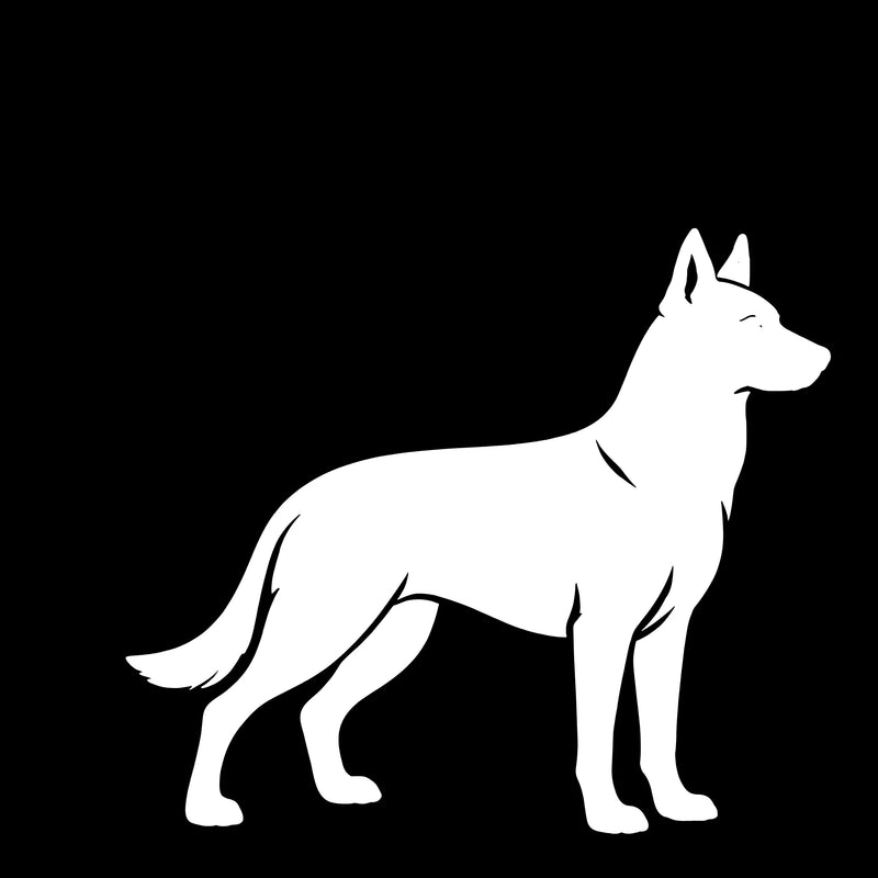 Malinois – Enkeltmotiv Sticker