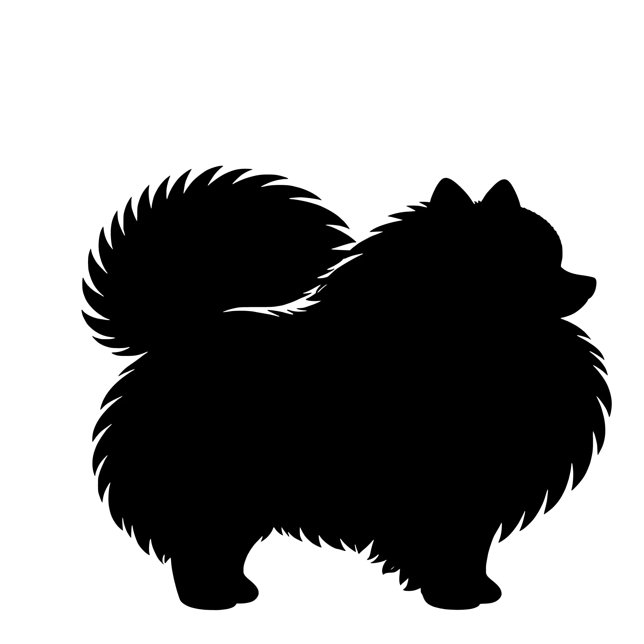Pomeranian - enkeltmotiv sticker